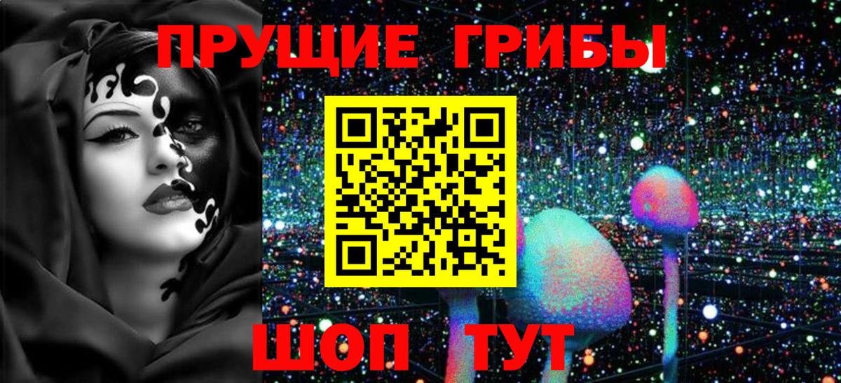 Галлюциногенные грибы Cubensis Клинцы