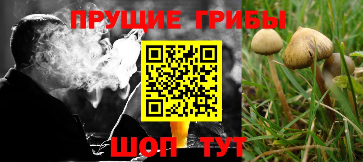 Псилоцибиновые грибы MAGIC MUSHROOMS  Вход с VPN  Клинцы 